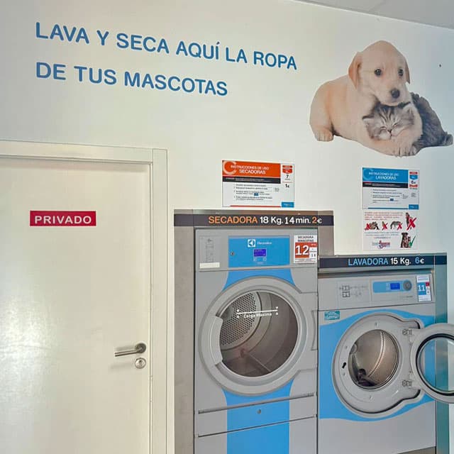 Lavandería mascotas en Lugo 